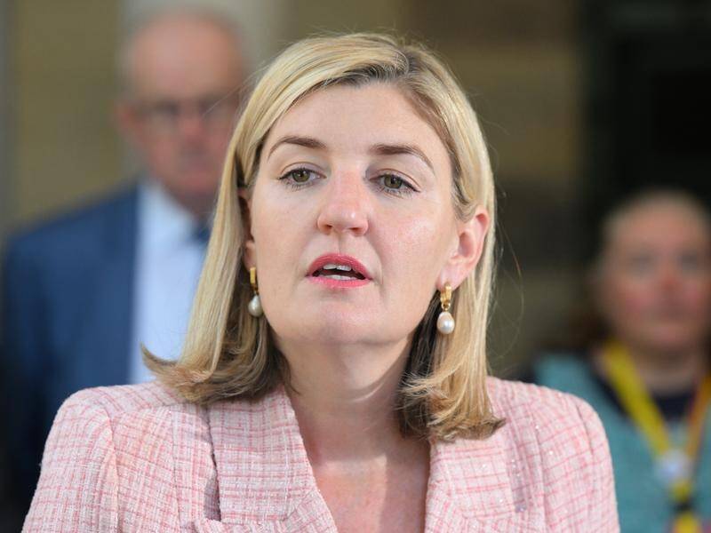 Shannon Fentiman has praised a grieving mother for raising concerns over hospital maternity care. (Darren England/AAP PHOTOS)