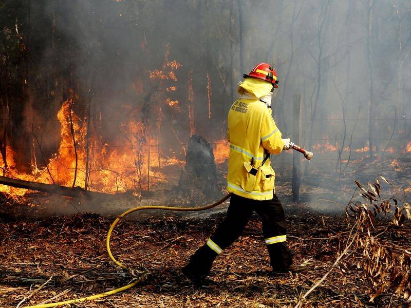 The Failford Road fire threatened communities on NSW's mid-north coast for three weeks in 2019. (Darren Pateman/AAP PHOTOS)