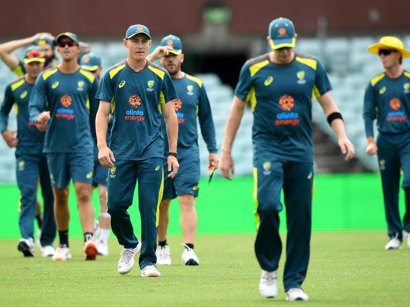 Marnus Labuschagne says fatigue won't be an issue when Australia host New Zealand in a ODI series.