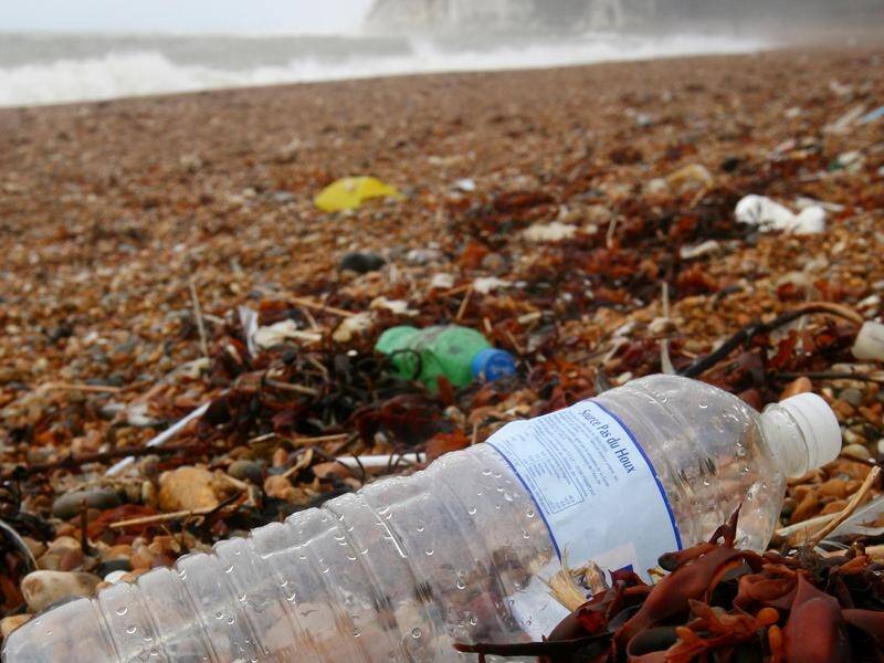 More than 40 firms have promised to eliminate single-use plastic packaging in the UK by 2025.
