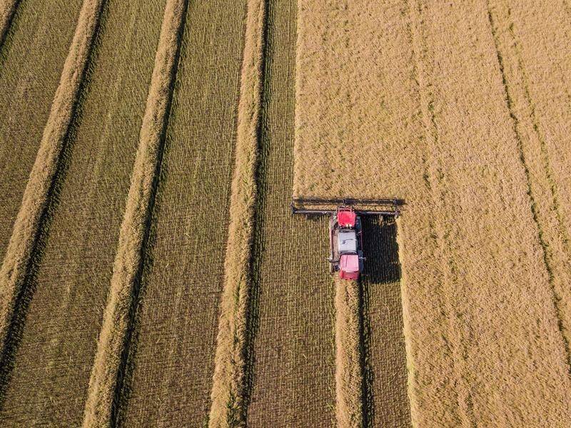 A partnership linking farmers to soil carbon technology is hoped to boost crop yields in Australia.