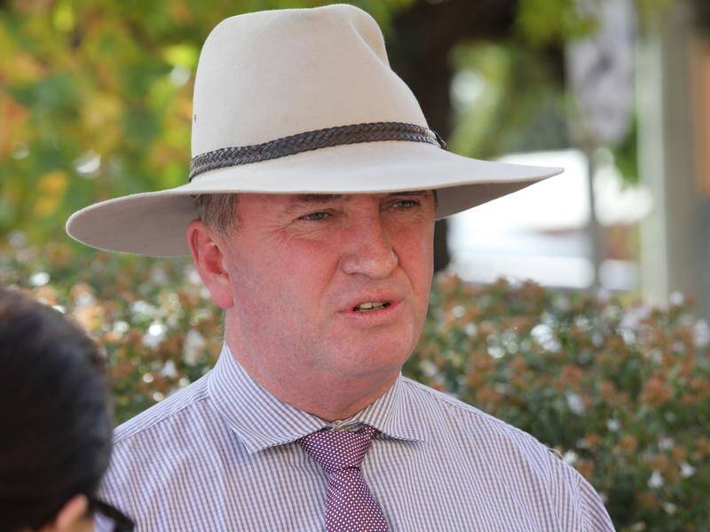 Federal minister Barnaby Joyce says life on Newstart is difficult.