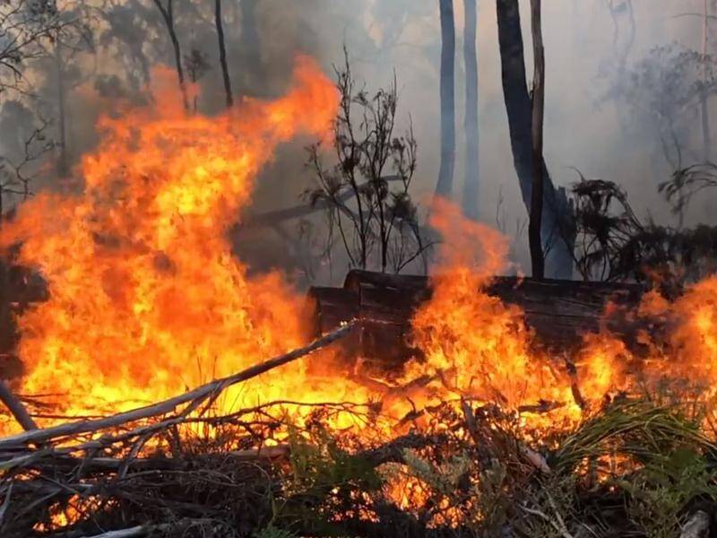 Tasmanian crews strengthened containment lines around fires in the state's northeast near Fingal.