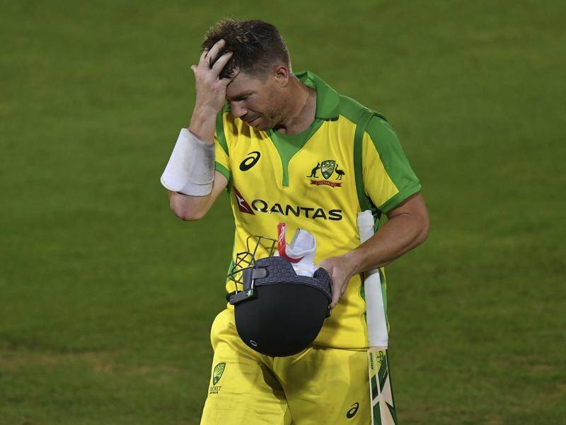 David Warner didn't have the greatest day as his Hyderabad side were beaten in their IPL opener.