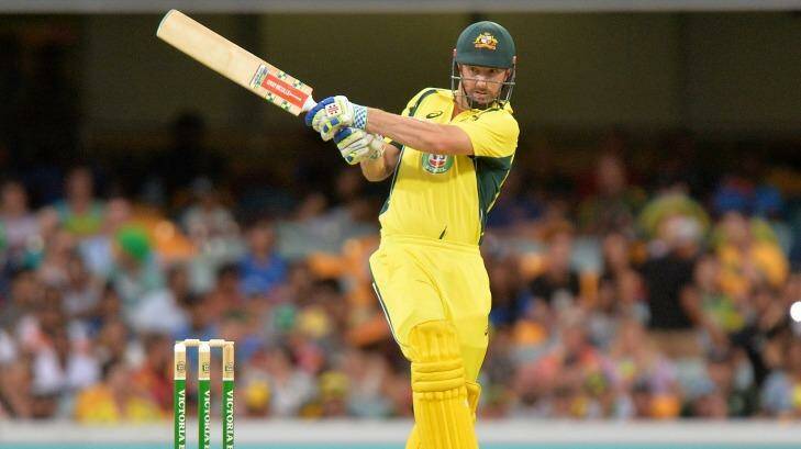 Live cricket ODI: Australia vs India, Game 3 from the MCG in Melbourne |  The Examiner | Launceston, TAS