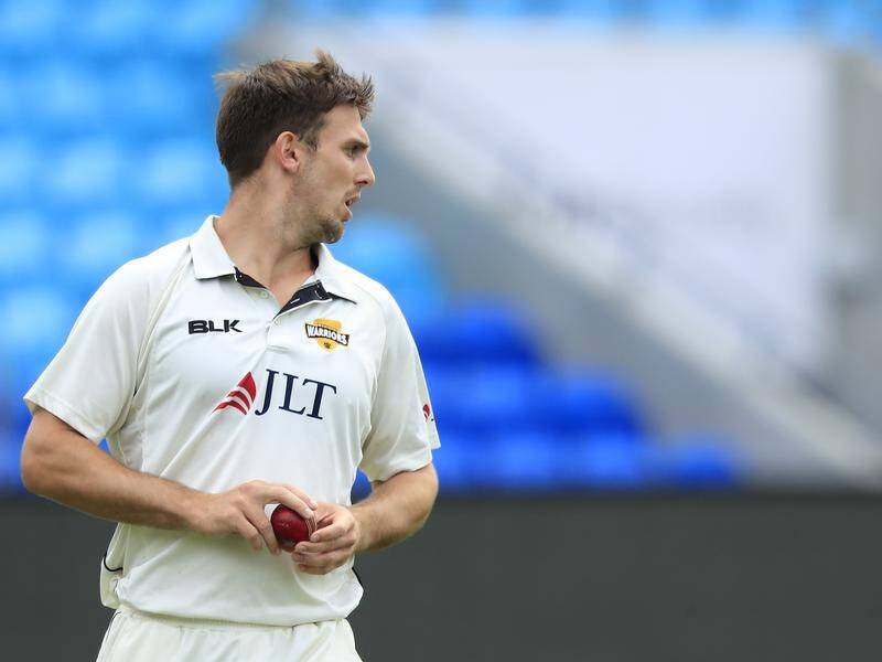 Warriors captain Mitch Marsh claimed three wickets as Tasmania struggled against WA in Hobart.