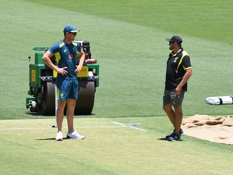 The new Perth pitch caused headaches for Australia's batsmen on day one of the second India Test.