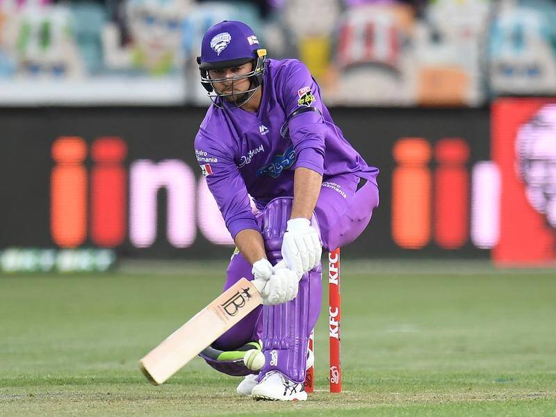 Player-of-the-match Tim David has led the Hobart Hurricanes to a BBL win over the Sydney Sixers.