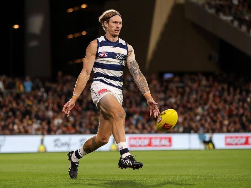 Geelong's Tom Stewart produced a stellar game and celebrated a win in his 150th, against Adelaide. (Matt Turner/AAP PHOTOS)