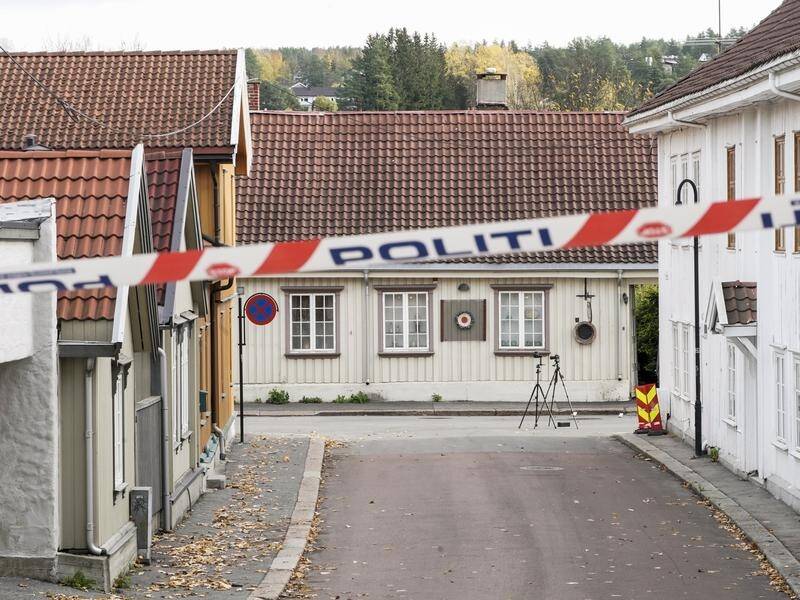 Multiple people have been stabbed in an attack in southeast Norway, police say.
