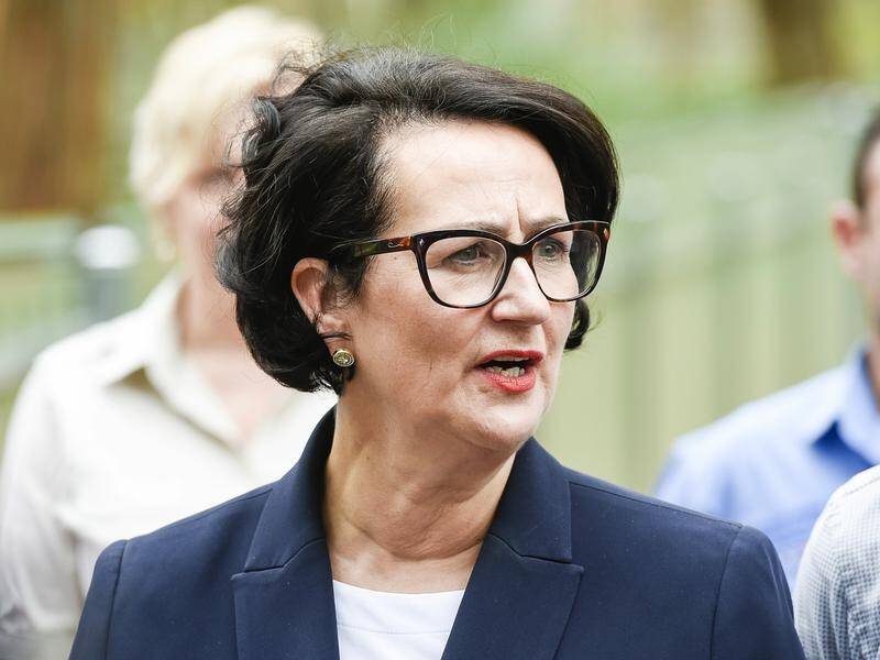 Attorney-General Vickie Chapman says new legislation will remove abortion from SA's criminal law.