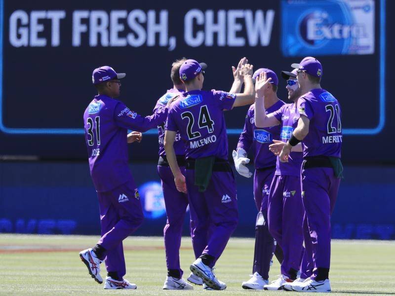 Hobart Hurricanes players celebrate the wicket of Melbourne Renegades batter Marcus Harris.