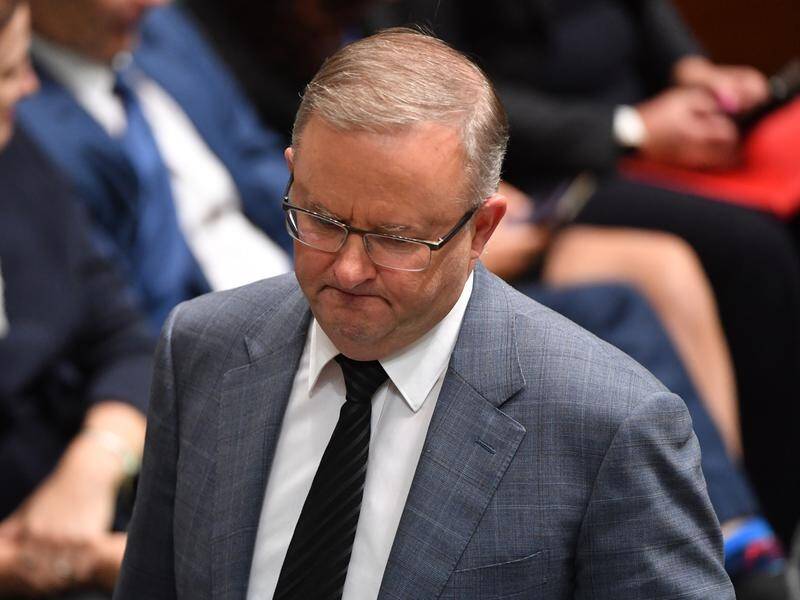 Anthony Albanese has no concerns about a secret pro-coal group of Labor MPs and senators.
