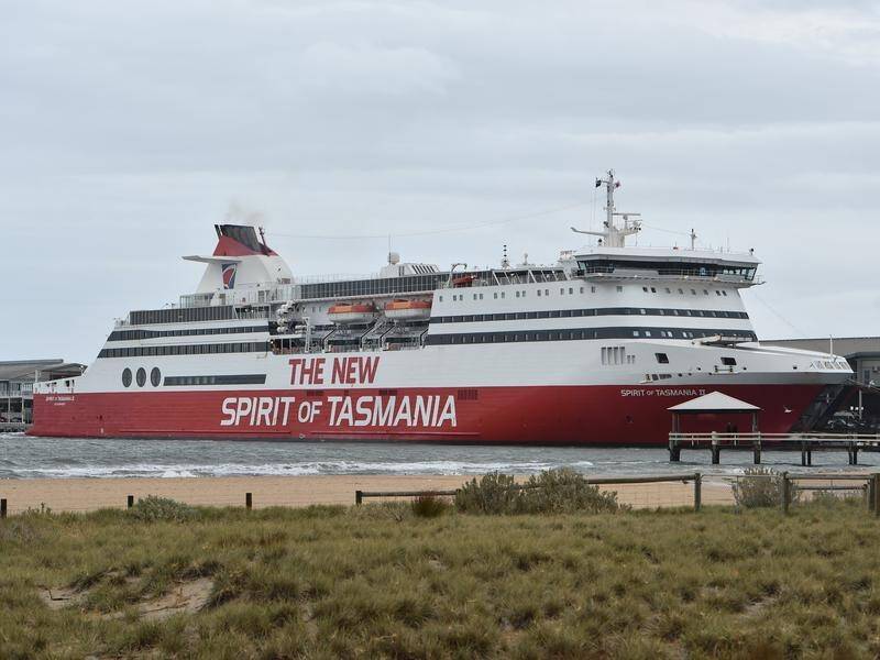 The Tasmanian government says it want to see if two new Bass Strait ferries could be built locally.