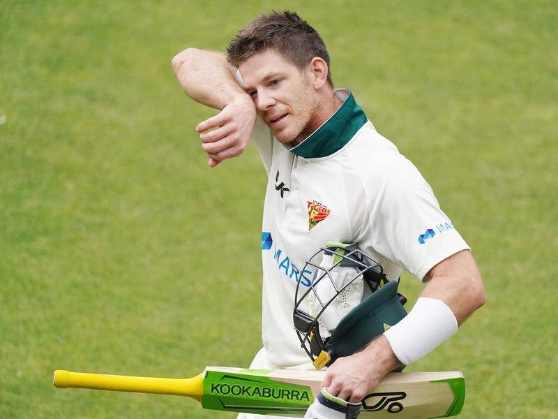 Unlike many of his Test teammates, Tim Paine will enjoy white-ball action before playing India.