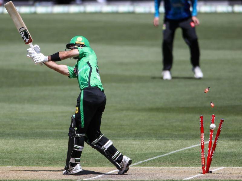 Glenn Maxwell becomes another victim of Henry Thornton as Adelaide beat Melbourne Stars in the BBL.
