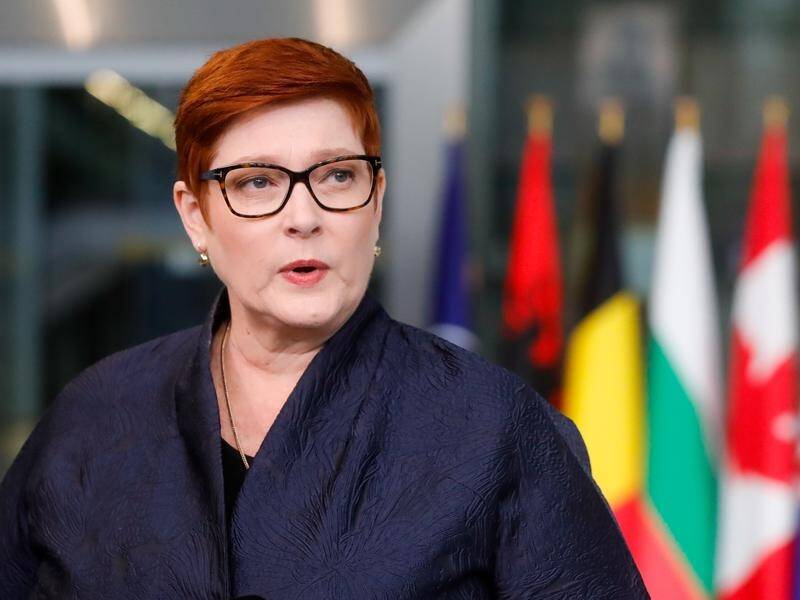 Marise Payne says concern for Australians in Russia has tempered diplomatic measures over Ukraine.