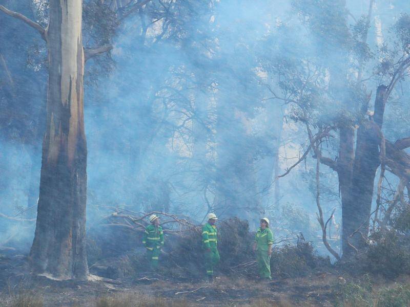 Winds of up to 50km/h could impact firefighters' efforts to battles blazes in Victoria's southwest.