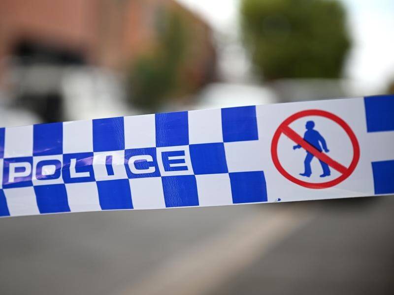 Tasmania Police is investigating after a pet dog killed its owner. (James Ross/AAP PHOTOS)