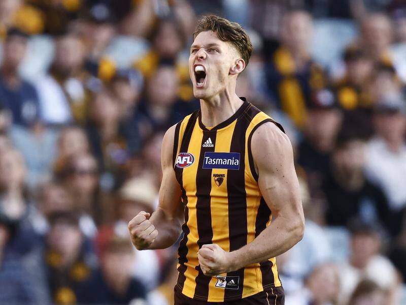 Jacob Koschitzke of the Hawks celebrates one of his five goals in their win over the Crows.
