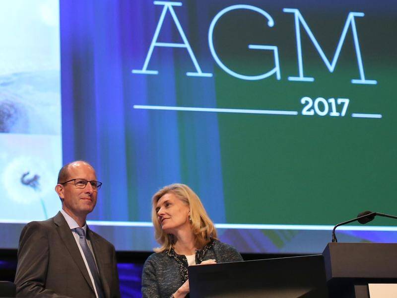 AMP CEO Craig Mellor and chair Catherine Brenner were two of the bank royal commission's scalps.