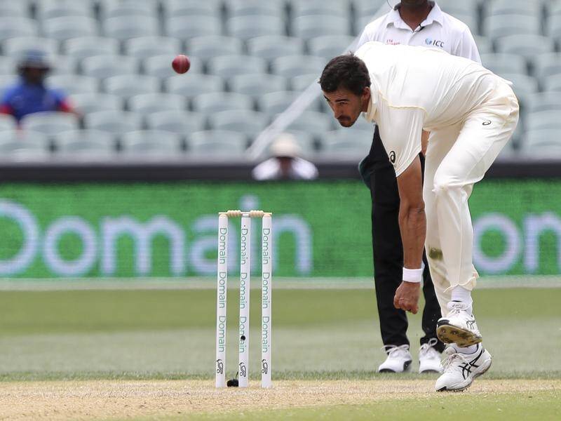 Tim Paine has backed Mitchell Starc to bounce back from a wayward performance against India.