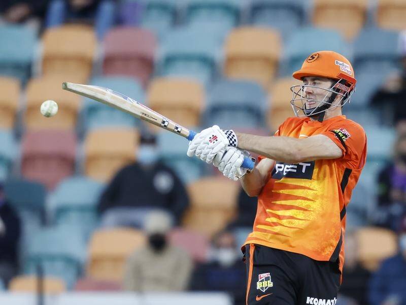 A Kurtis Patterson half-century has carried the Perth Scorchers to 42-run over Hobart in the BBL.