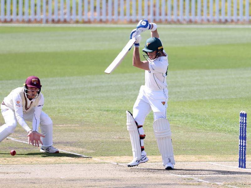 Tim Ward has put Tasmania in a solid position in the Sheffield Shield match against Queensland.