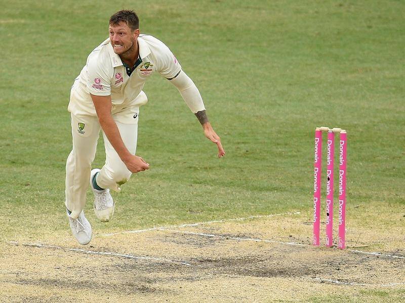 Retired Test paceman James Pattinson says bowler rotation will be key to Australia's Ashes campaign.