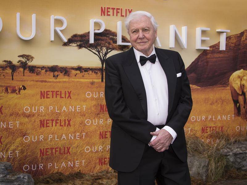 Sir David Attenborough has received a lifetime achievement award for his tv programs.
