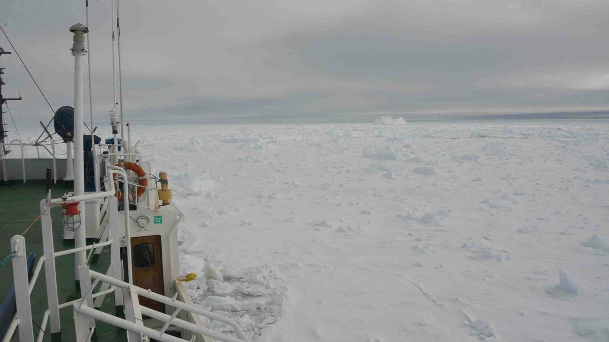 Hemmed in: The Russian-built ship, the MV Akademik Shokalskiy, is trapped in ice about 1500 nautical miles south of Hobart.