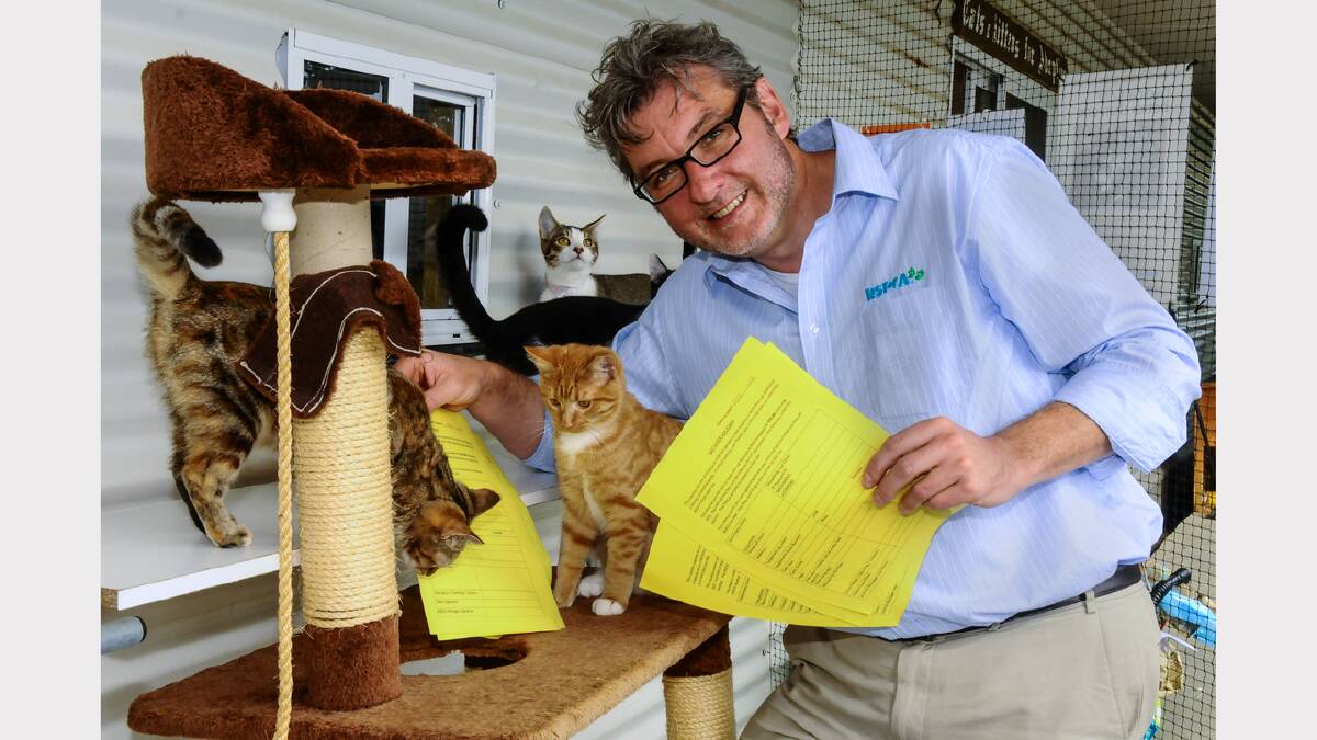 RSPCA general manager Peter West with some of the Launceston shelter's purrfect residents. Picture: Neil Richardson