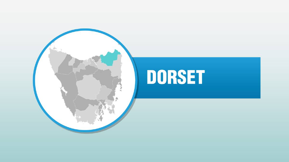 Dorset Council candidates