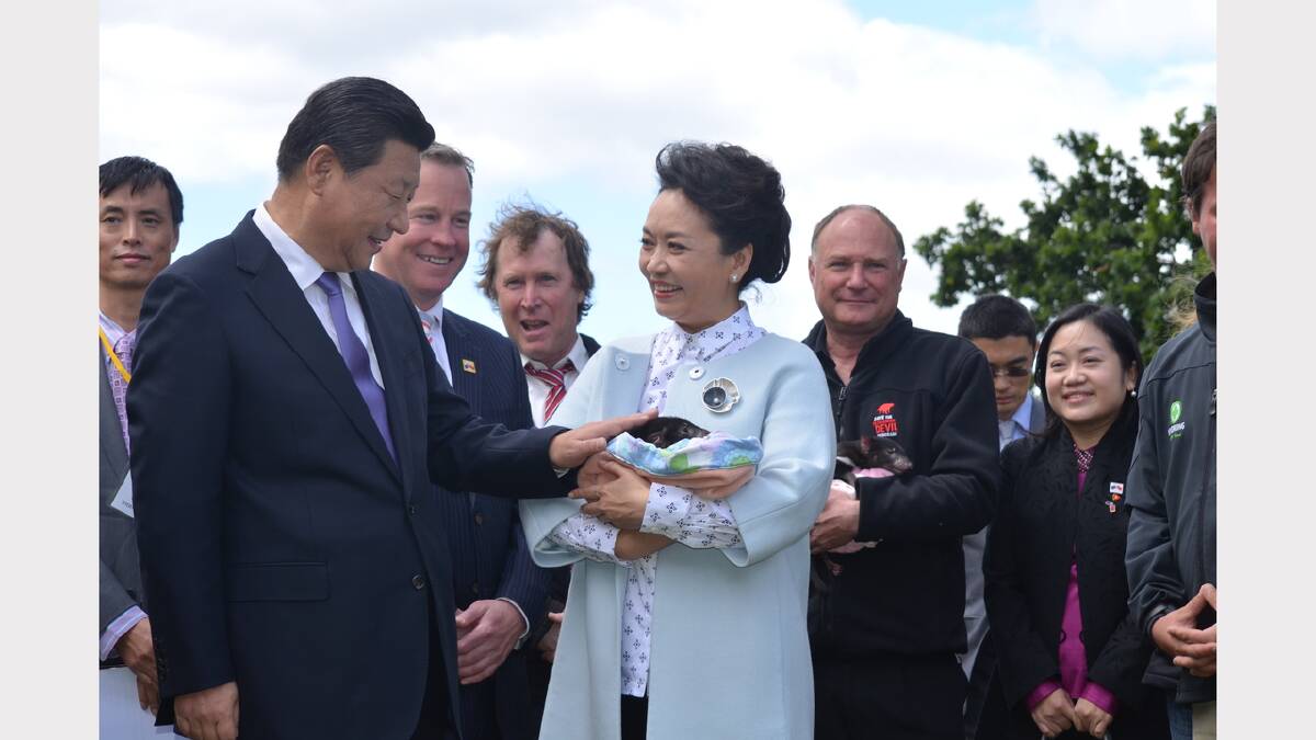  Chinese President Xi Jinping and Madame Peng's visit to Tasmania in November has sparked interest from the state's exporters.