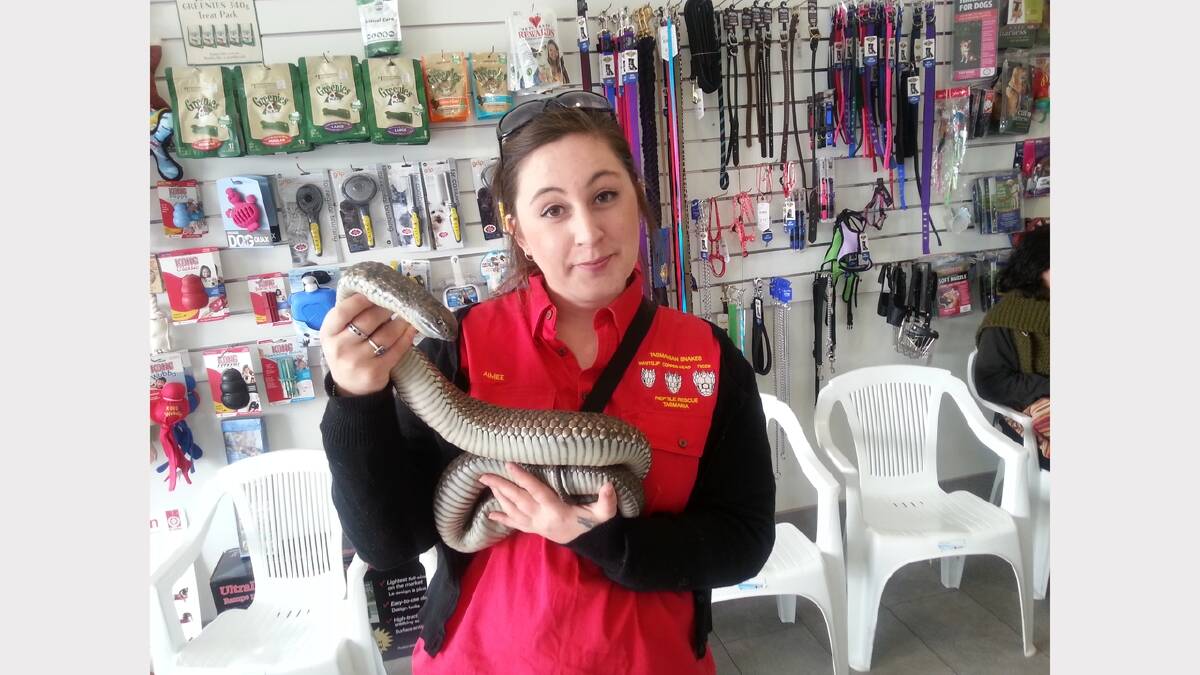 Reptile Rescue Tasmania's Aimee Quin