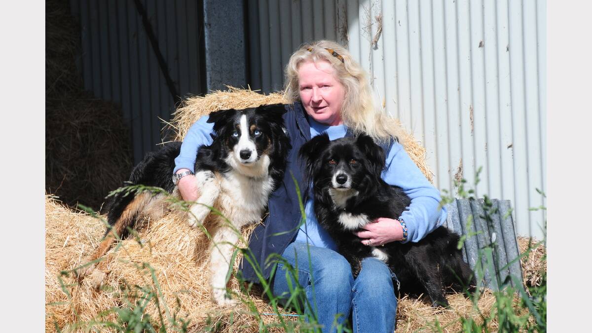 Louise Grant, of Westbury, will be one of 15 women competing at the Supreme Australian Sheepdog Championships at Campbell Town next month. About a third of Tasmania's dog handlers are now women. Picture: PETER SANDERS