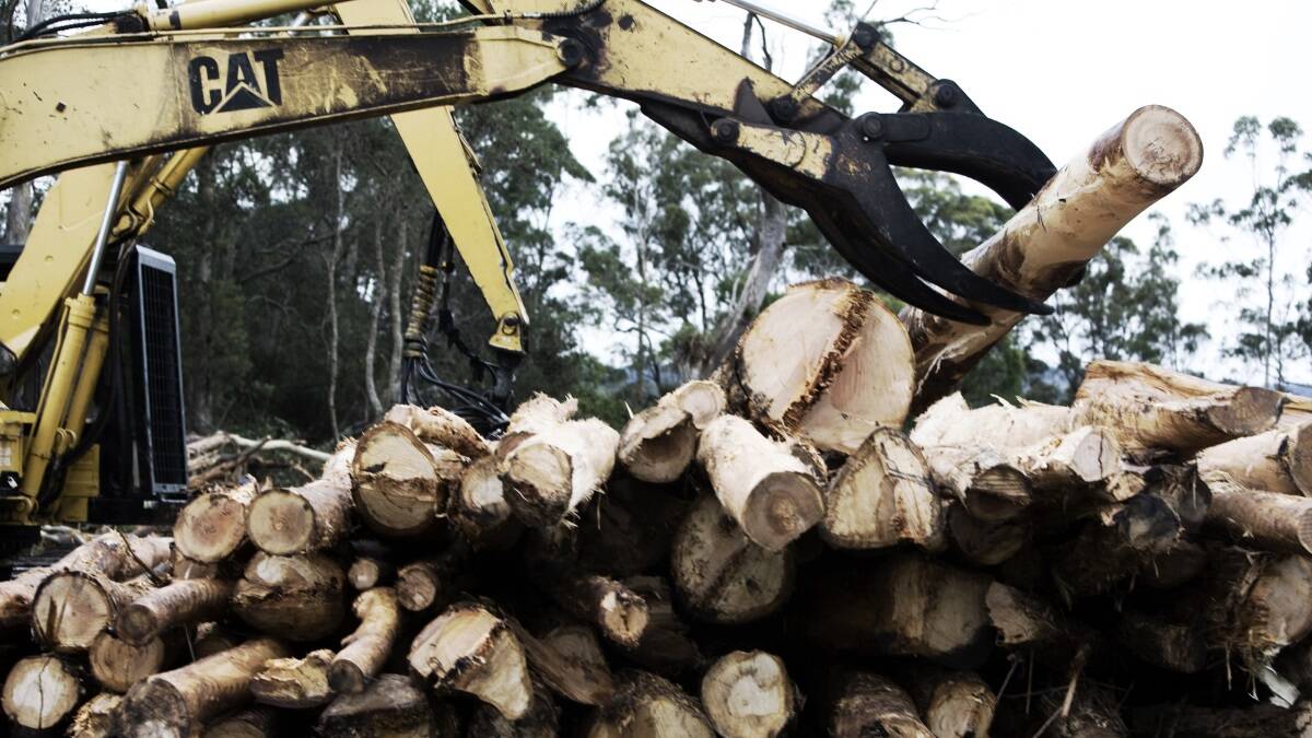 Delay of logging for six years 