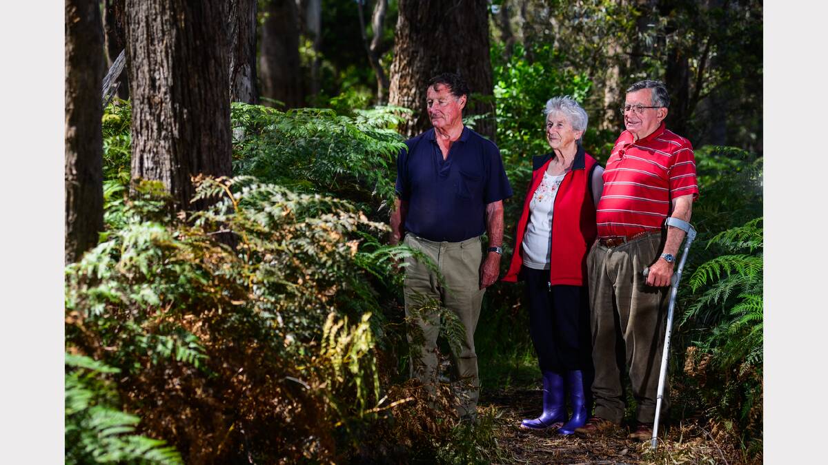 Hillwood residents Robin Claxton, Nancy Donnelly and Lindsay Millar are concerned about fire risk on Crown land along the Tamar River foreshore.