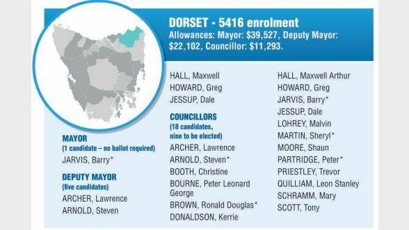 Dorset Council candidates