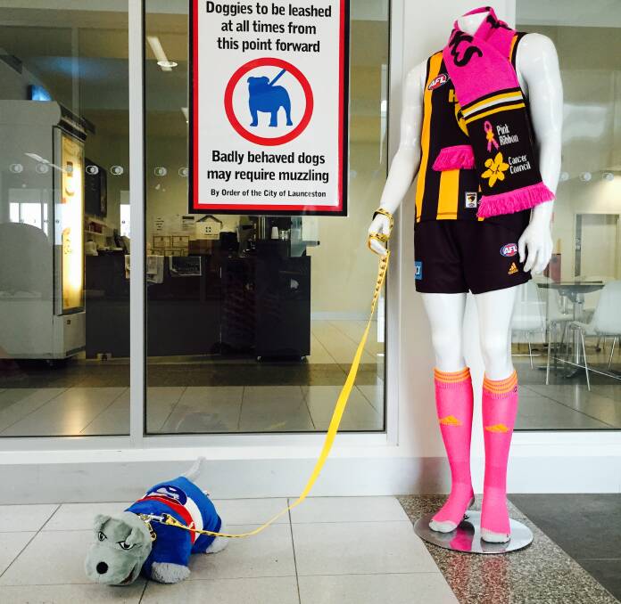 There is a cheeky surprise waiting for Bulldogs fans and players at Launceston Airport this weekend.