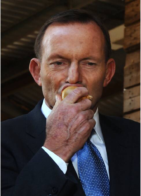 Footage PM Tony Abbott eating a raw and unpeeled onion in Tasmania yesterday has gone viral. Picture: NEIL RICHARDSON