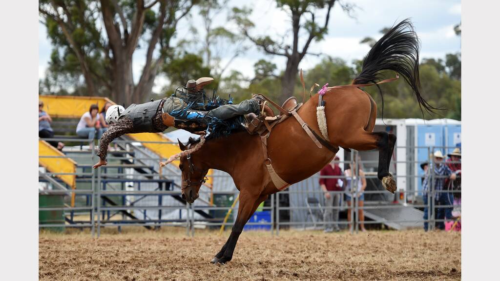 Kolt Ferguson of Queensland in action at the Carrick Rodeo. Picture: Mark Jesser.