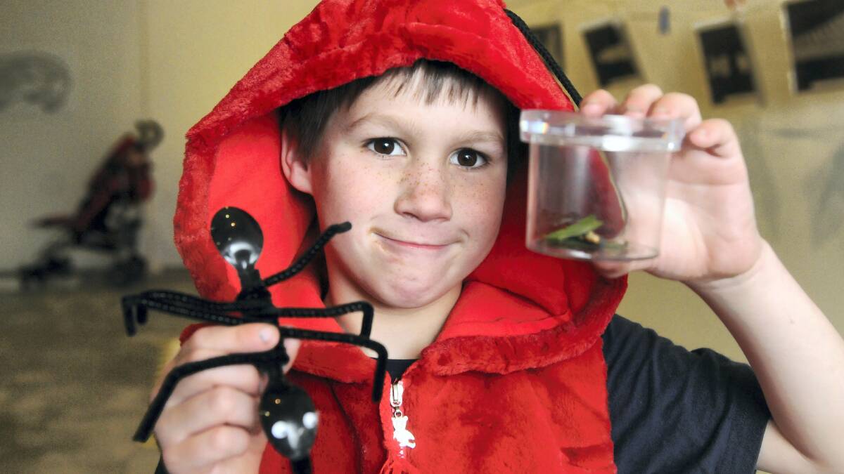 Sirach Cornwell, 8, of Launceston, at yesterday’s Bug Day Out at the QVMAG at Inveresk.  Pictures: PAUL SCAMBLER
