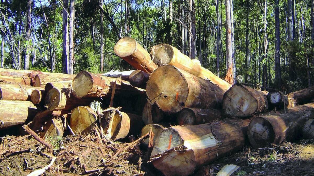 MLCs poised to axe forest deal