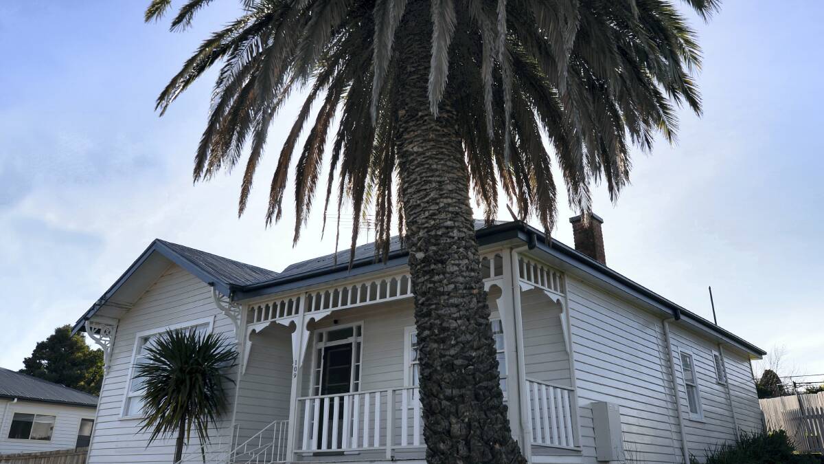 The RSPCA is hoping to rescue a cat that has been stuck up a palm tree at Ravenswood for the past six nights.  Picture: MARK JESSER

