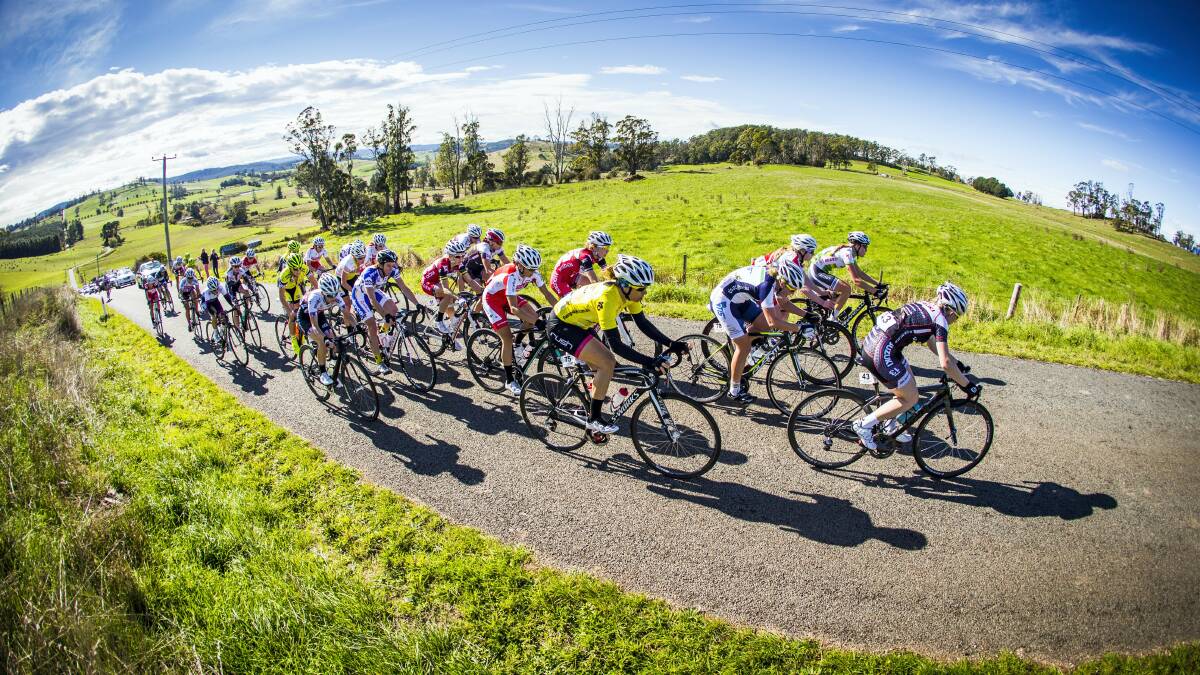 The peloton stretches out during yesterday's  Mersey Valley Tour  second stage at  Sheffield.  Pictures:  TIM BARDSLEY-SMITH/Cycling Australia
