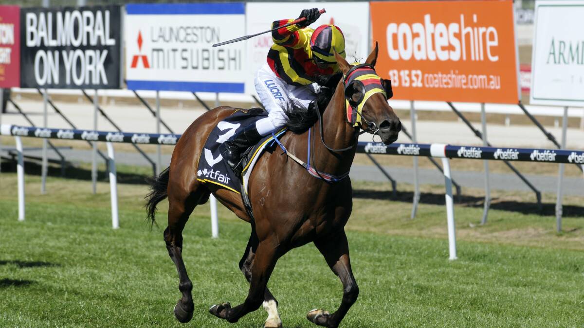   Iggimacool, ridden by Brendon McCoull winning the Tasmanian Oaks on Launceston Cup day in February. Iggimacool's trainer, Bill Ryan, has concerns about racing her at Mowbray on Sunday. 