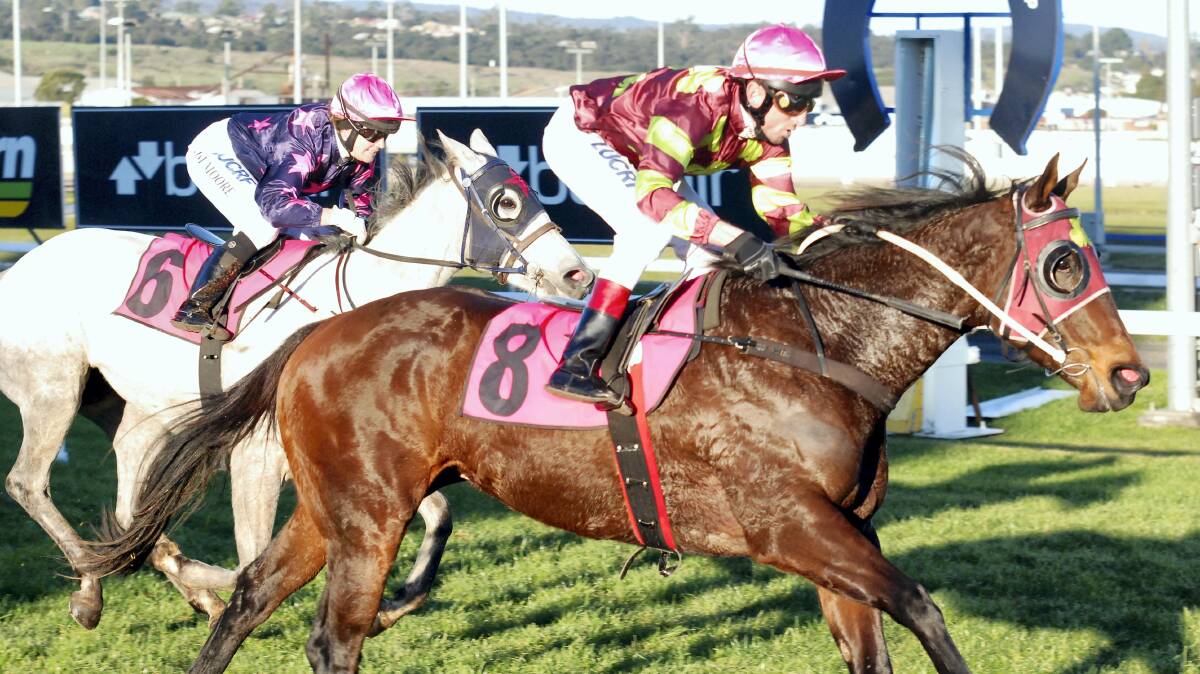  Volcanic Sky, ridden by Jason Lyon, wins the Think Pink Cup at Mowbray yesterday. 