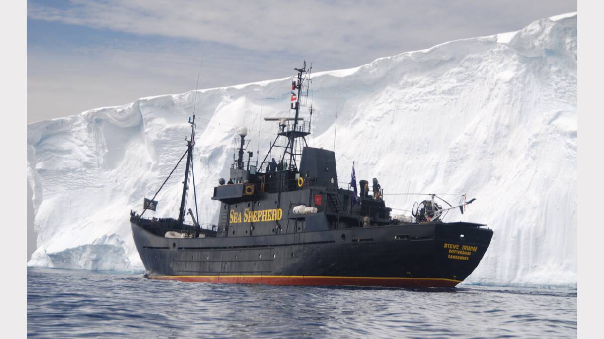 Anti-whaling flagship heads to Launceston