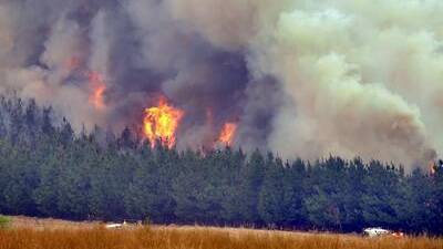 92 bushfires burn in NSW